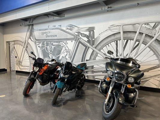 Queen City Harley-Davidson