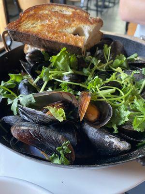 Wood Roasted Mussels