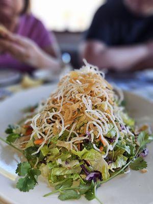 Asian chicken salad