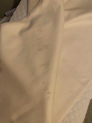 Newly stained pillow case.