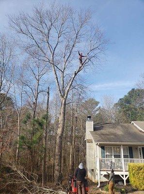 Tree Service Smyrna
 4500 West Village Pl
 Ste 2015
 Smyrna, GA 30080
 (678) 658-2550