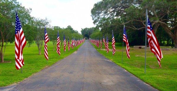 The famous parade of flags-2017