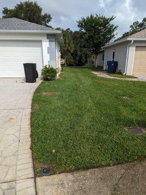 The brown spot is where i sprayed some weed killer. It killed the whole patch. Better to let them do it. They only kill the weeds.