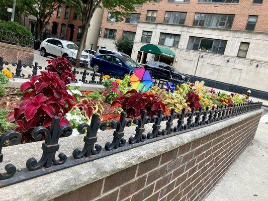 Beautiful Flower Beds in front.  Taken 08/05/21