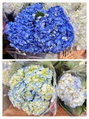 I've got the Spring blues lately (but in a  *‿* good way) for hydrangeas. *:｡ﾟ So pretty and delicate *:｡ﾟ @ Trader Joe's.