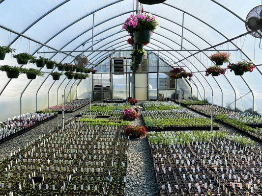 One of the greenhouses where flowers are grown