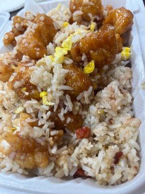 General Tso's Chicken & Young Chow Fried Rice