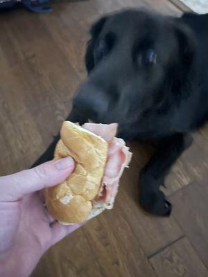 My dog Tunechi eating a - Medium - Honey Ham w/ no cheese or dressing second half?  Chips not delivered.