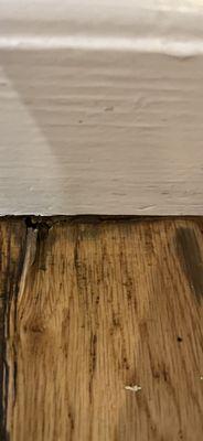 Just 1 of 3 areas of termiye damage in my hardwood floor