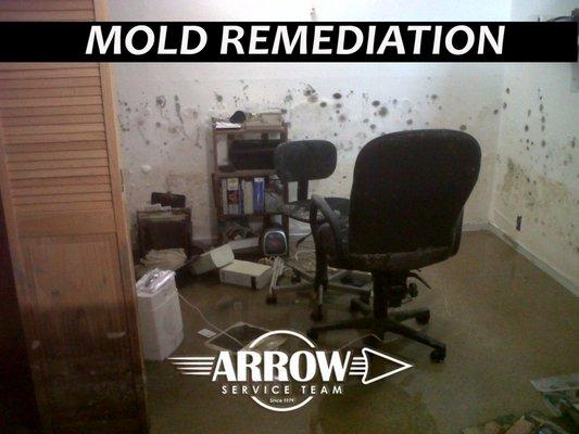 Reduction or elimination of moisture levels to prevent future mold growth Removal of materials that have mold and fungi growth