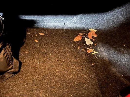 Leaves in my trunk that I found after moving things around, They only cleaned exposed areas, though they promised they would move things.