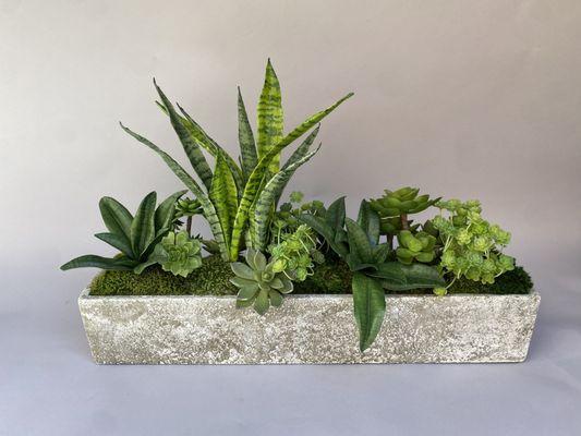 Mother in law tongue, echeverias and mixed succulents in a long textured concrete trough.