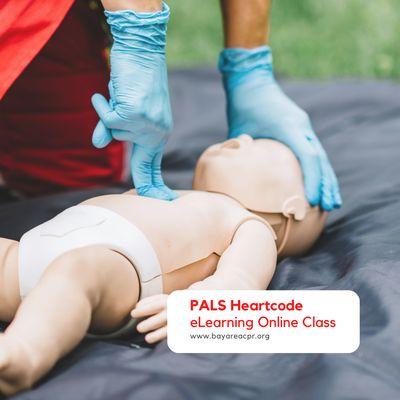 PALS Certification Classes in Tracy