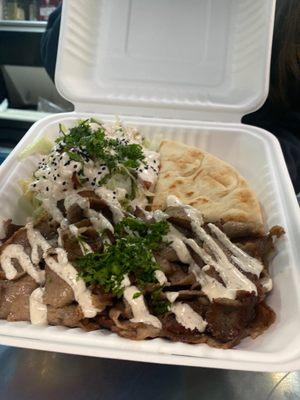 Gyro Plate