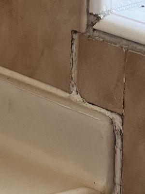 Grout lines in bad shape, corner shelf area and below the block window