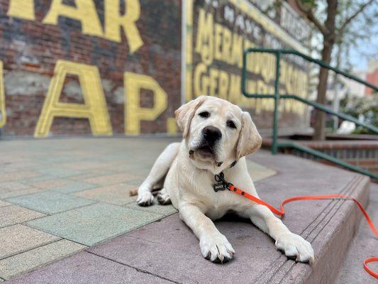 This is badge on one of his training adventures with Megan