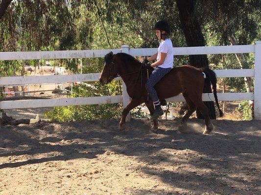 Student Elise Barebackriding on Billie Butterscotch's son