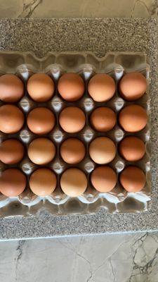 Flat of 20 large brown organic eggs. Picked fresh and usually safe to not refrigerate for a few days.  I love their eggs!