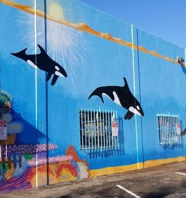 Whale Mural Wall by Douglas Davis