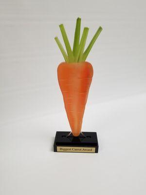 Custom cut acrylic award