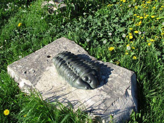 Trilobite sculpture