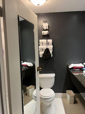 Dark grey walls, and door barely cleared toilet