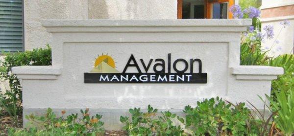 Avalon Management Group