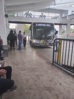 This same transit employee in pink told my son to "take a f*#&king bath".  They just flirt their way out of trouble.