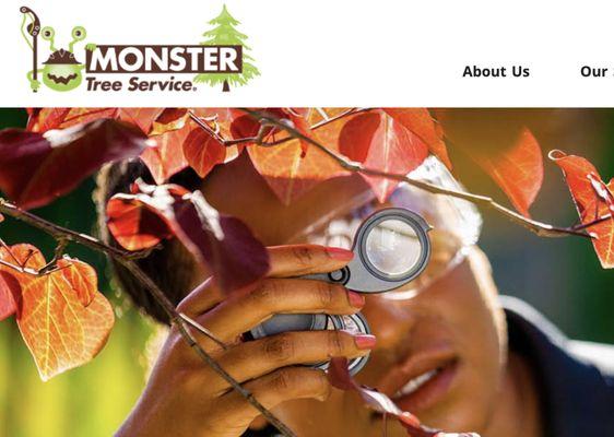 Monster Tree Service of Greater Lansing