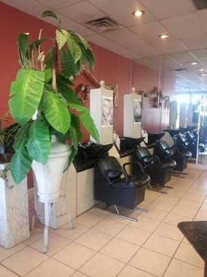 Shampoo Area