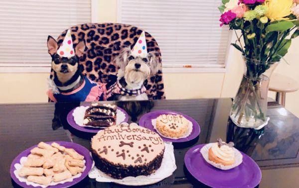 Dog edible cake, cupcake, cannolis, treats