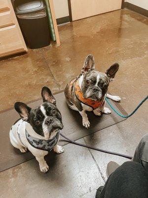 Lyla and Luke at their appointment