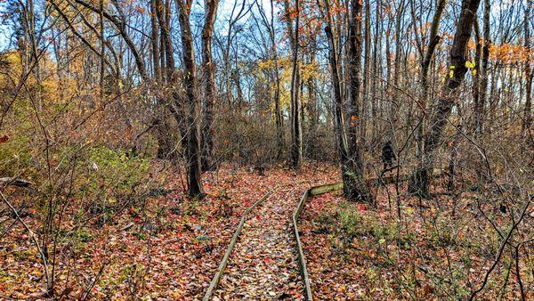 Norman Bird Sanctuary