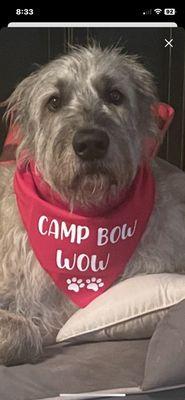 Camp Bow Wow