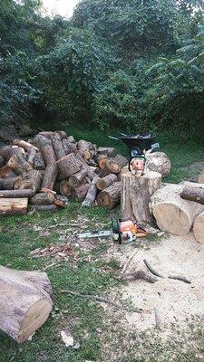 And some of the wood that was dropped and cut up