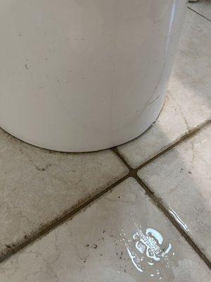 Leaking toilet all over bathroom floor