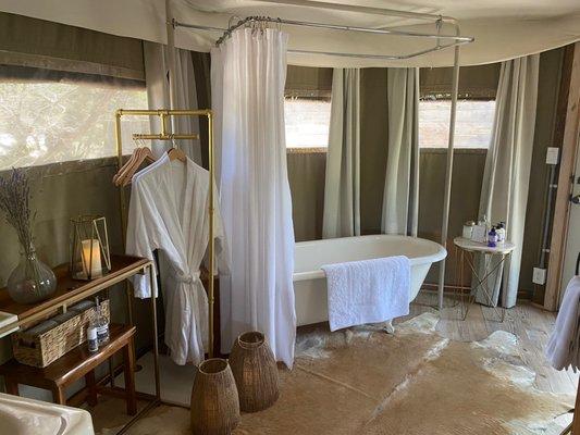 Beautiful tub and nice shower head