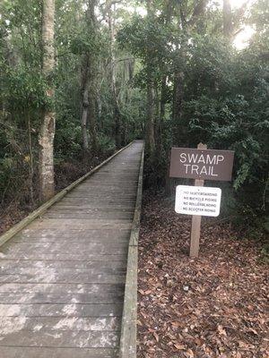 Swamp Trailhead