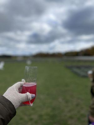 Lavender & Door County Cherry Mimosa