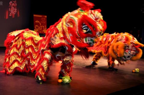 Pace CI hosts an annual Lunar New Year Celebration, free and open to the public.