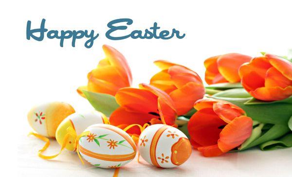 Happy Easter from Quality Breeze Team.