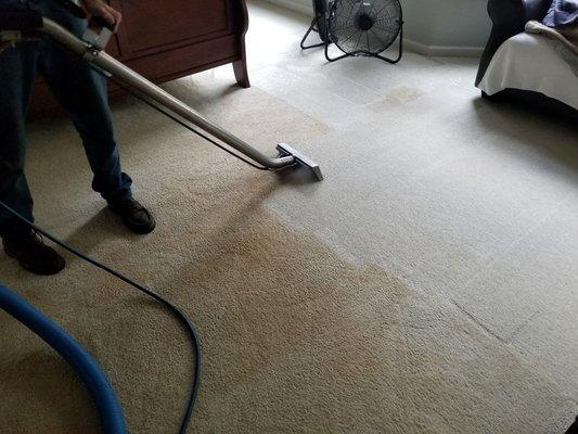 Carpets feel softer after cleaning