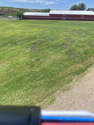 Ruts they dug using skid steer for less than an hour where guests would've walked.