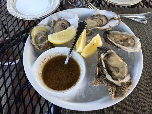 Oysters