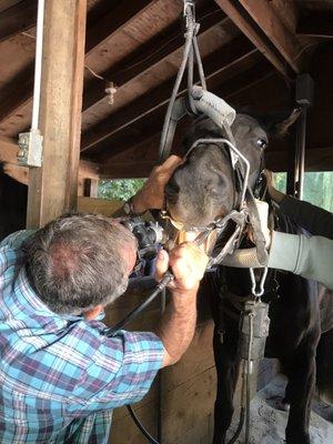 Dr. K floating teeth over the stall door