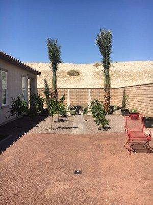 Two Desert Empire Date Palms