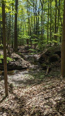 18 Mile Creek County Park