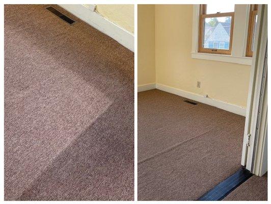 Paul Duncan's work - carpet cleaning before and after - like night and day. Amazing!