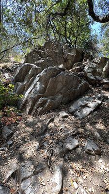 Crescenta Valley Park