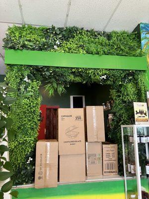 Greenery wall